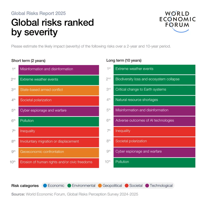 ranking de riesgos globales 2025